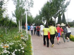 拥抱自然，回归本我——公司举行春游活动